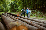 Forstschule Lohr Wald2